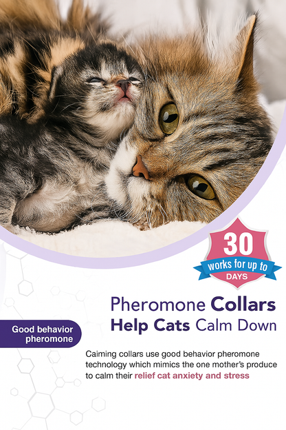 PurrEase - Cat Calming Collar